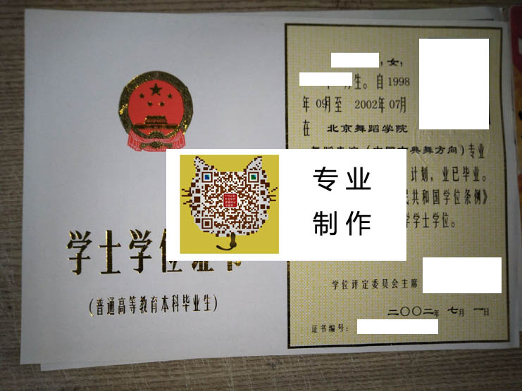 北京舞蹈学院学位2002 拷贝.jpg