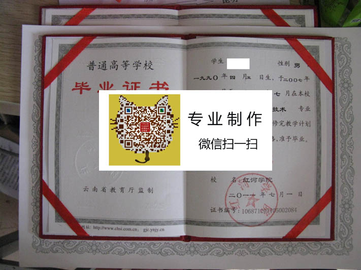 红河学院2011 拷贝.jpg