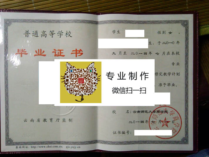 云南师范大学商学院2014 拷贝.jpg