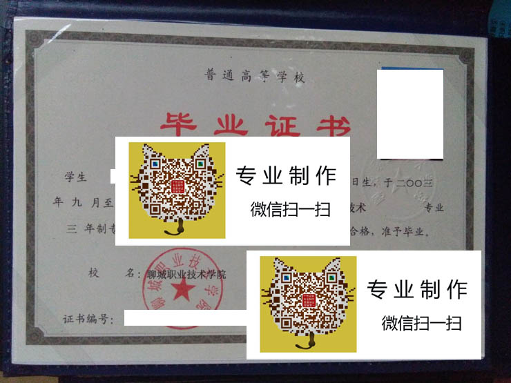 聊城职业技术学院2006 拷贝.jpg