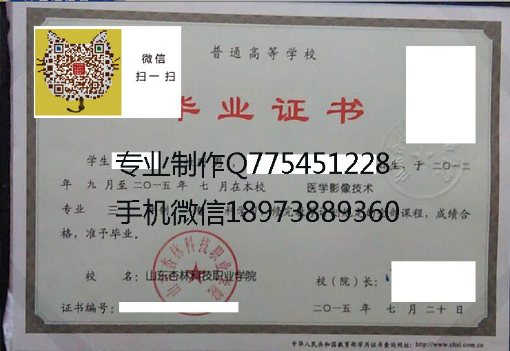 山东杏林科技职业学院2015 拷贝.jpg