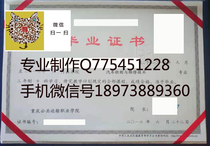 重庆公共运输职业学院 拷贝.jpg