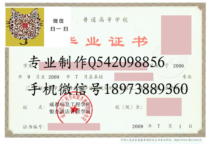 成都信息工程学院银杏酒店管理学院2009 拷贝.jpg